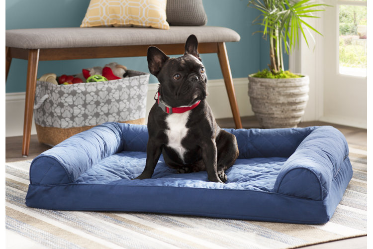 Wipe clean dog outlet beds